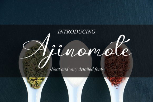 Ajinomote: A Handwritten Font for Modern Web Design