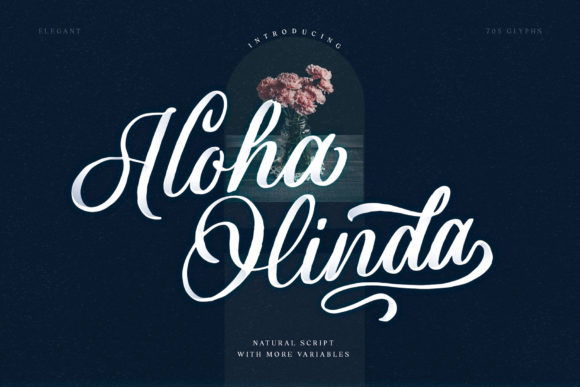 Aloha Olinda: A Designer's Real-World Review