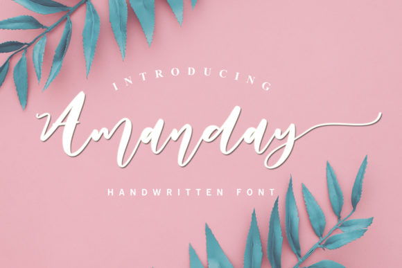 Amanday: A Designer’s Honest Review for Real Projects