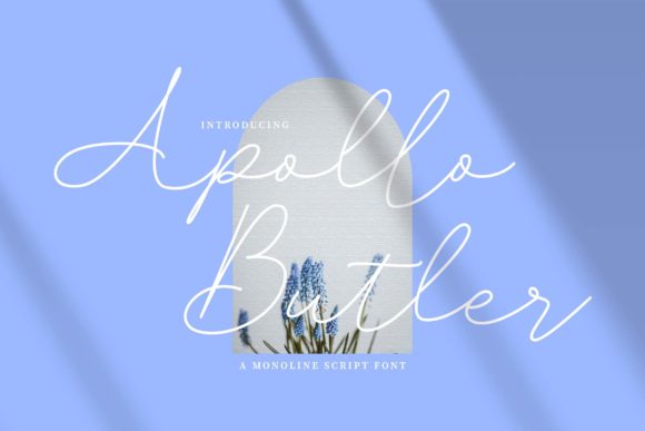 Apollo Butler: An Elegant Script Font for Crafters