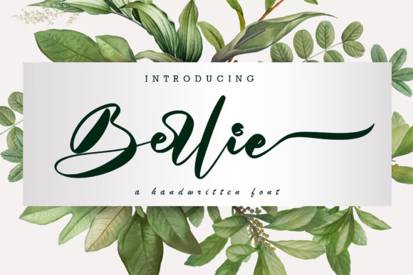Berlie: A Refined Script Font for Web Design