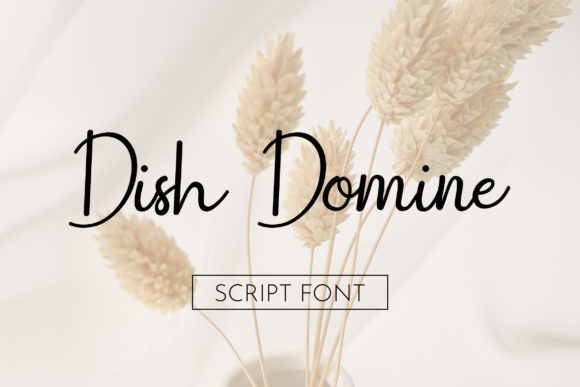 Dish Domine Font: A Bold Script for Branding
