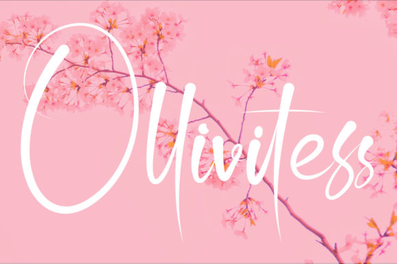 Ollivitess: A Romantic Script Font for Branding